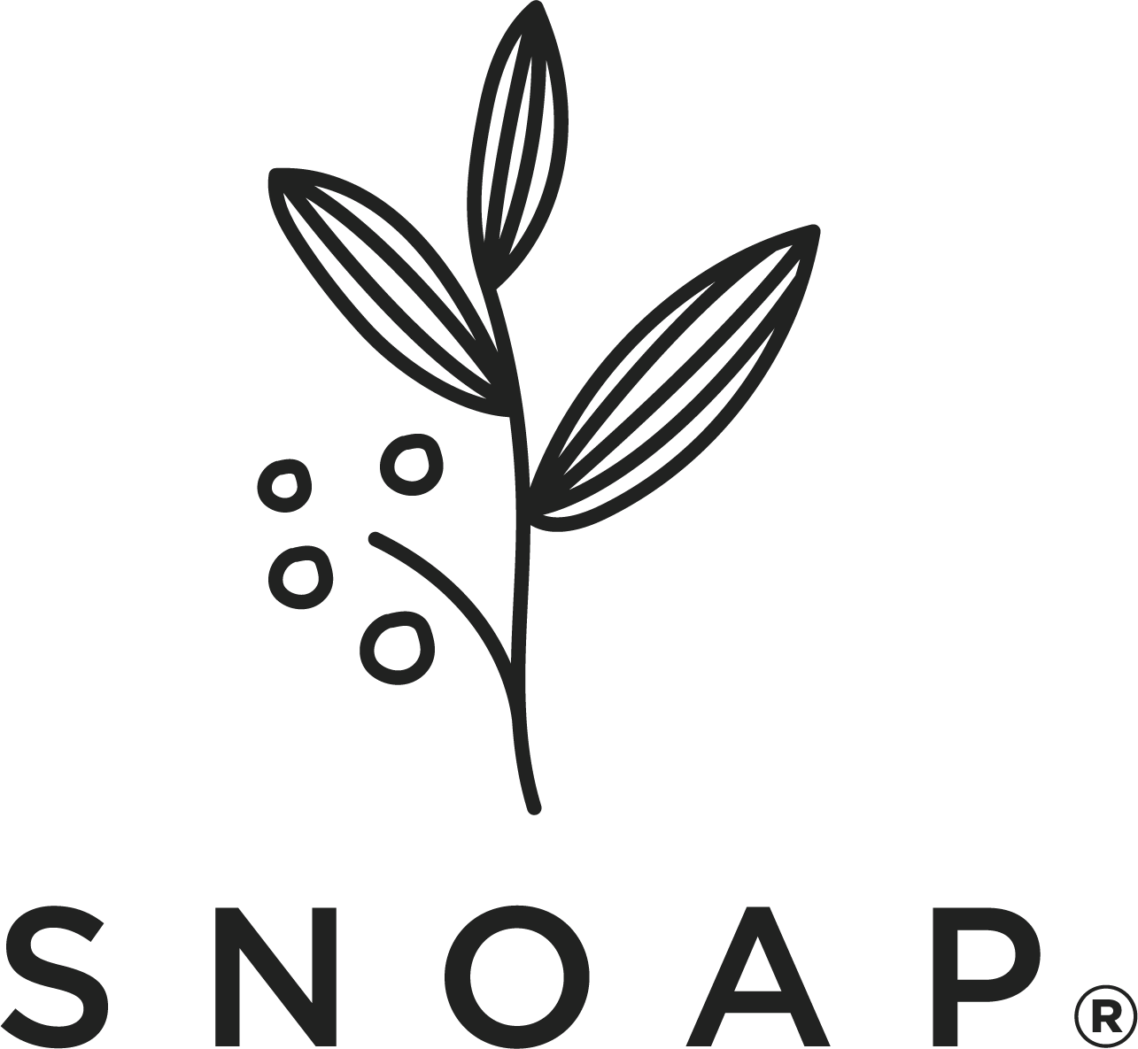 SNOAP soap, hand made sopa, organic soap, donkey milk soap